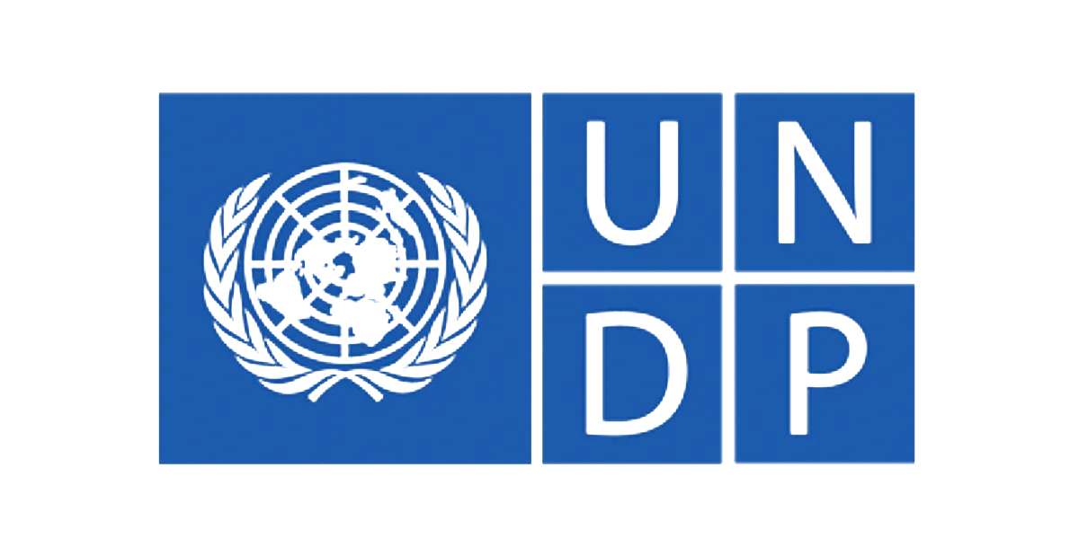 UNDP logo