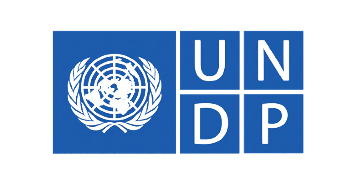 UNDP logo